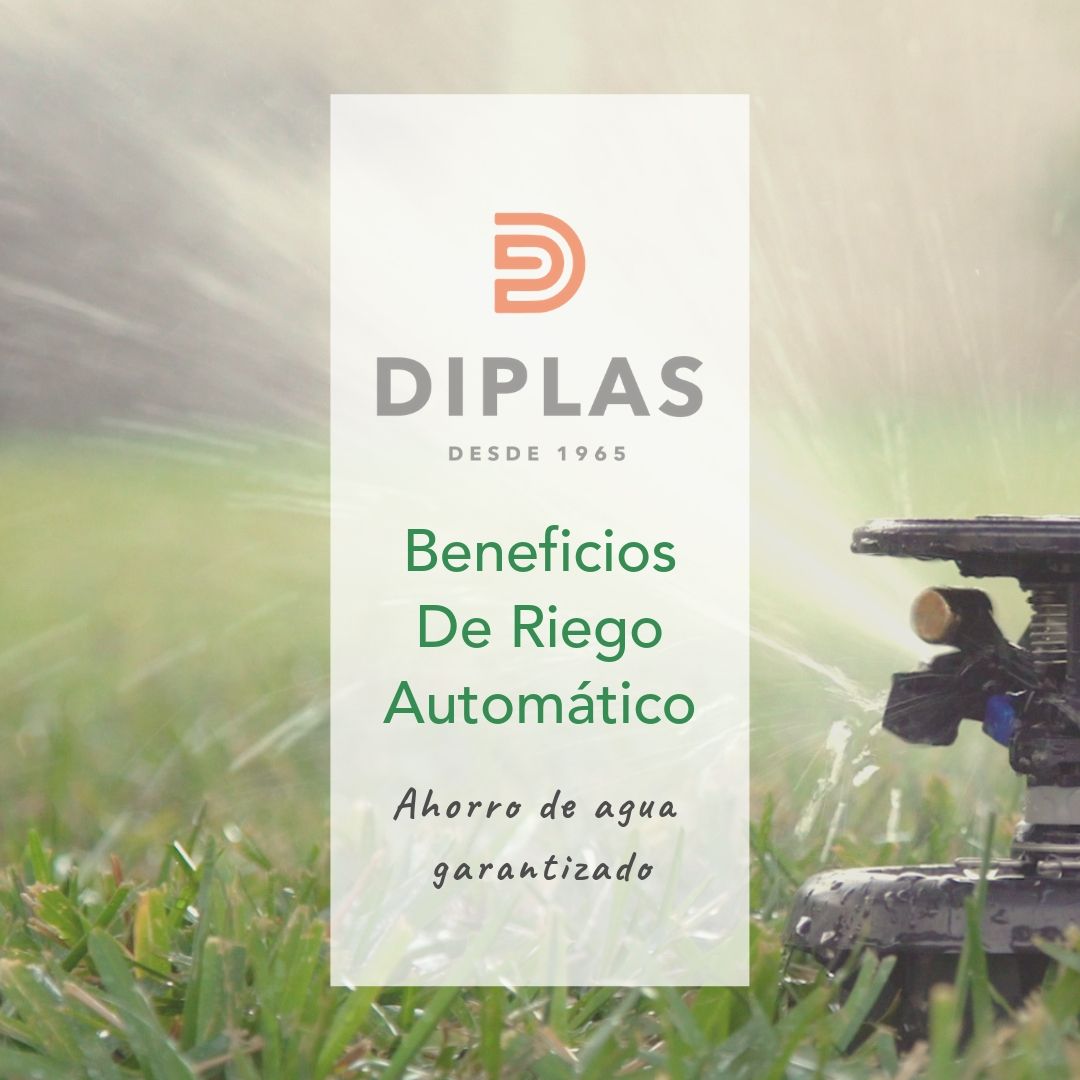 Beneficios Riego Automático