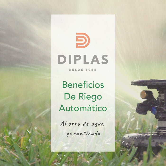 Beneficios Riego Automático