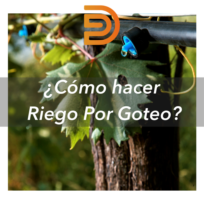 ¿Sabes cómo instalar un Sistema de Riego por Goteo?