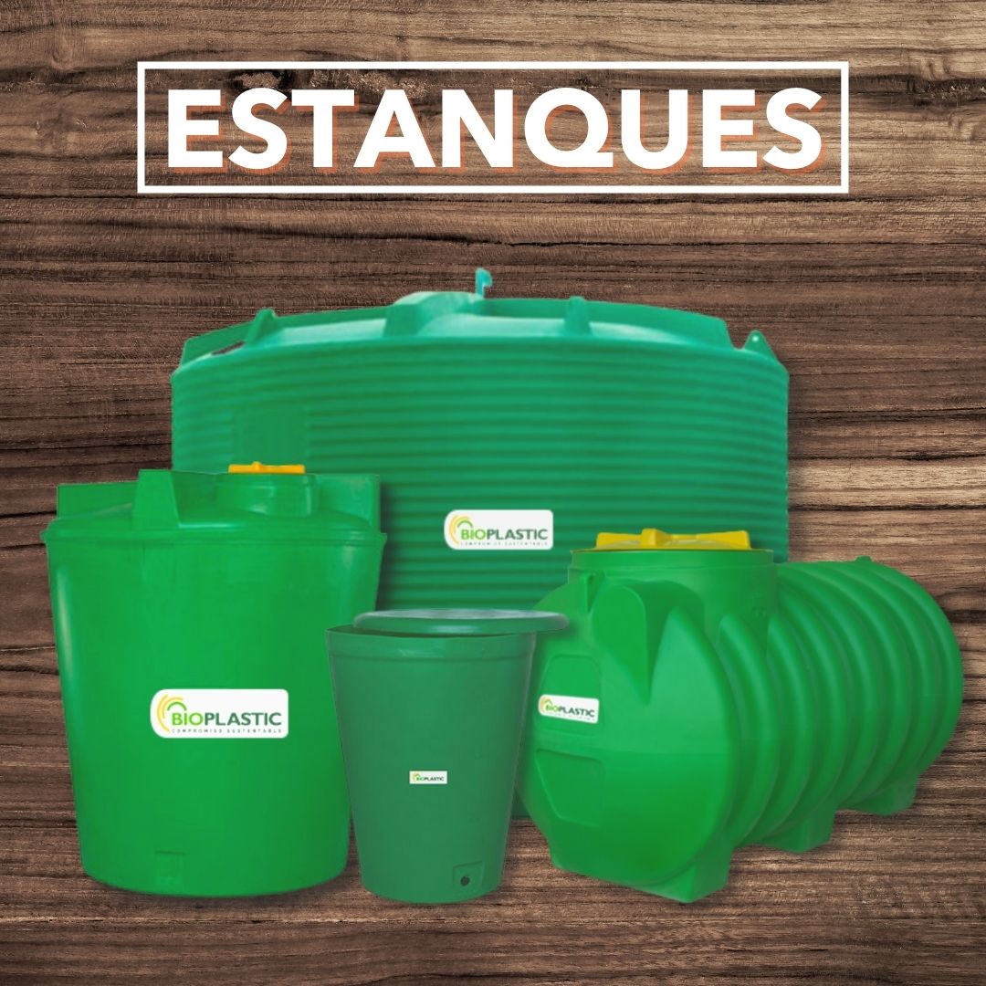 ¿Por que tener un estanque? Diplas te da un par de razones...