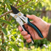 Tijera de poda Bypass Premium Cyrus — producto en uso