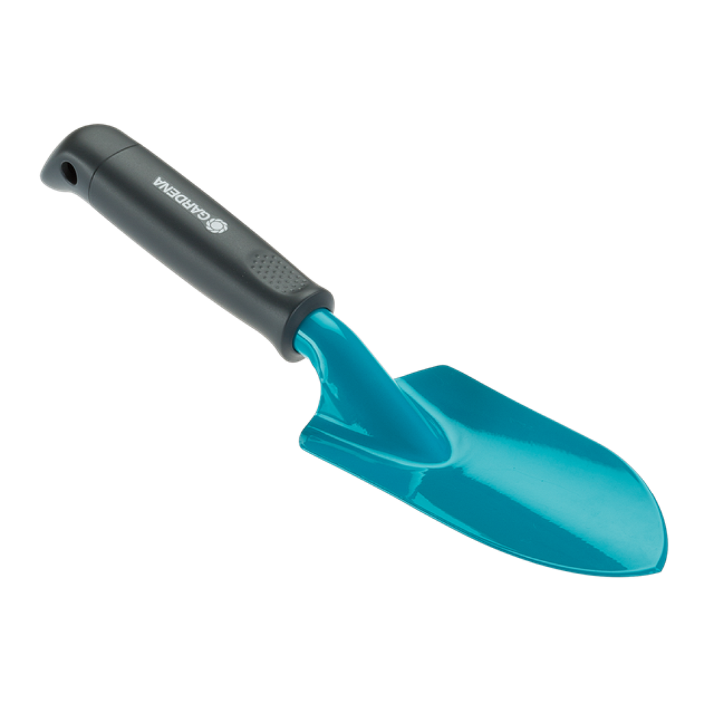 Pala Ancha 8cm