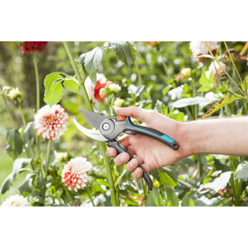 Pulverizador Presión de Plástico 1, 2 Litro Pulverizadores de jardín  Cuidado de plantas, terreno y accesorios - AliExpress